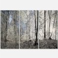 thumbnail image 1 of Design Art - Matin Sombre dans un Panorama de Forêt, 1 of 3