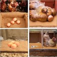 thumbnail image 3 of Wisewang Boîtes de Nidification Sûres et Réutilisables pour Poules Réduisent la Casse des Œufs Spécialement 25*25cm, 3 of 6