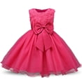 thumbnail image 1 of AAMILIFE Girl Princess Flower Dress Tutu Wedding Birthday Party Child Dress Kids Costume, 1 of 3