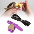thumbnail image 3 of Bird Flying Harness Leash, Pet  Bird Harness Leash  Flying Leash Straps Adjustable Cartoon Style Rubber Handle High Elasticity Bird Harness Leash For Bird, 3 of 8