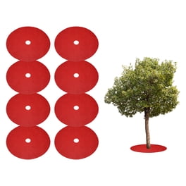MagiDeal Cinta Adhesiva Elástica Para Injertos | 100 Cm X 2 Cm | Barrera Contra Humedad | Reparación De Plantas Y Árboles | Protege Y Sella Heridas
