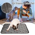 thumbnail image 1 of Pet Dog Training Pad Can Be Reused Fast Water Absorbent Washable Pet Urine Pad, 1 of 6