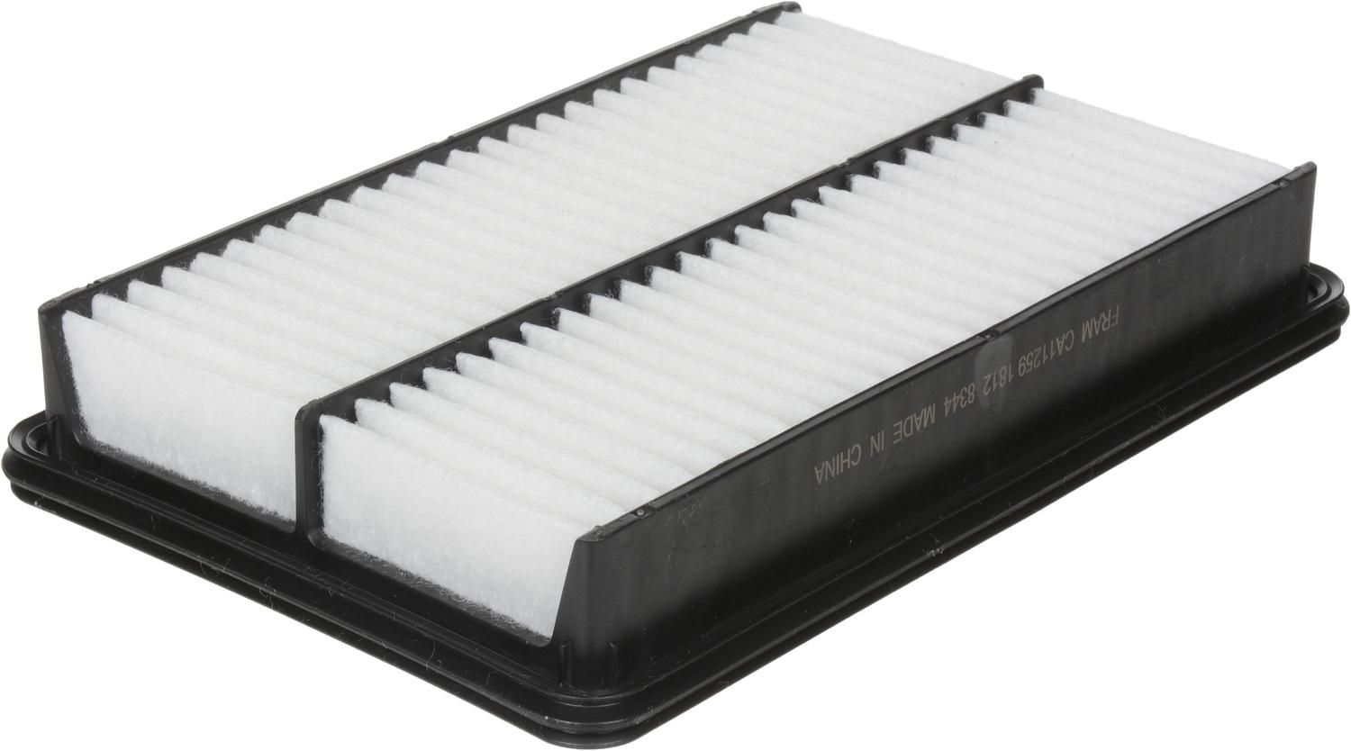 CA11259 Filtre à air FRAM® EG
