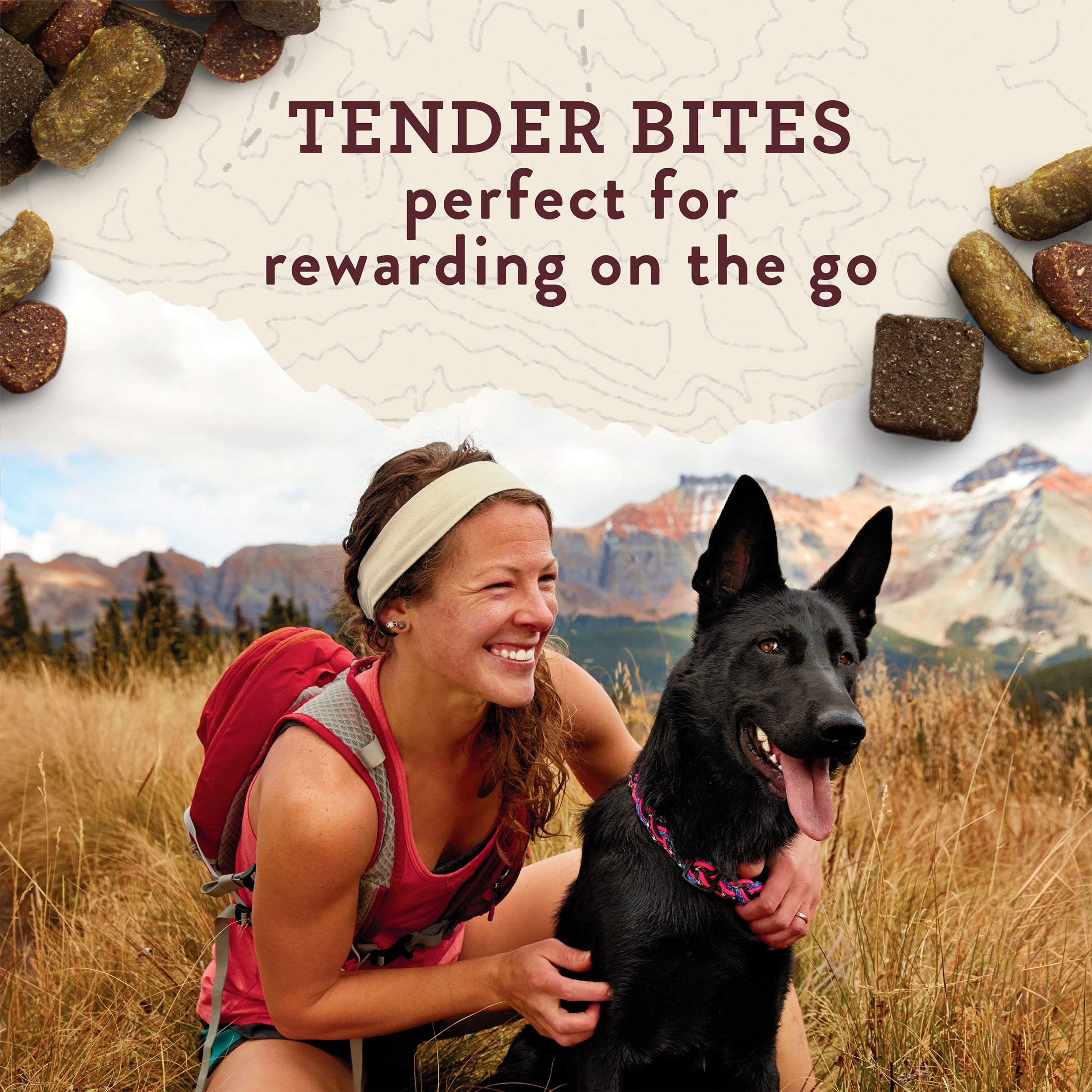 Zuke's Trail Mix Peanut Butter & Oats Recipe, Dog Treats, 170 g