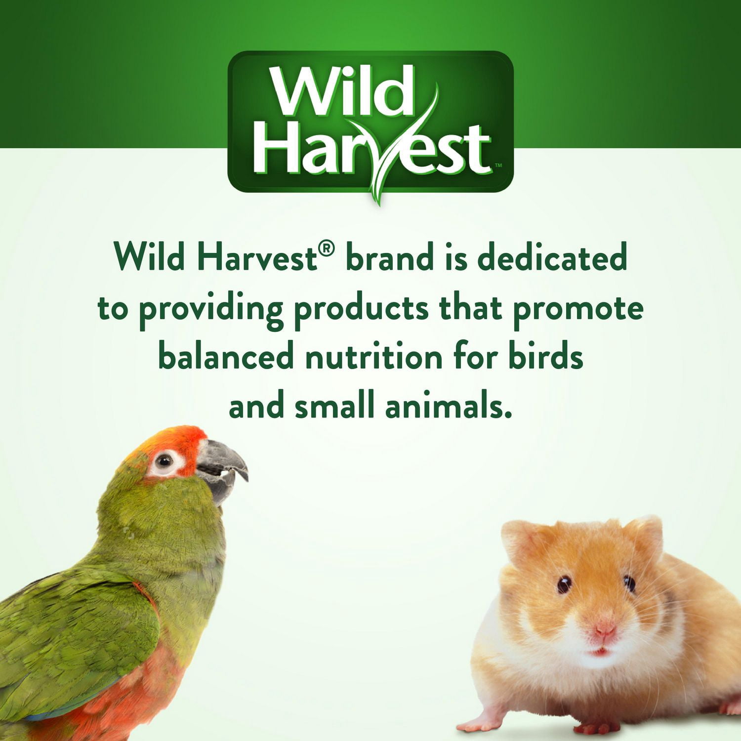 Wild Harvest Molting Supplement, 7.5oz