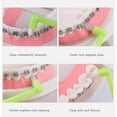 thumbnail image 3 of Orthodontic Toothbrush, Soft Trim Brush, Double Tuft Small Head, Braces Cleaning Toothbrush, Wisdom Teeth Care, 4 Pack, 4Pc Toothbrush, 3 of 9