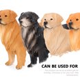thumbnail image 3 of Modèle de Chien Animal Simulation Jouet pour Enfants Cadeau pour Enfants Golden Retriever, 3 of 8
