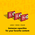 thumbnail image 4 of Lexar Play 256 Go MicroSDXC  UHS-I  LMSPLAY256G-BNNWG, 4 of 6