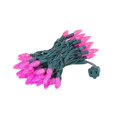 thumbnail image 1 of Novelty Lights 70 Light C6 LED Christmas Mini Light Set, Commercial Grade Outdoor String Lights, Pink, Green Wire, 24 Feet, 1 of 8