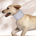 thumbnail image 1 of Dog Neck Support Collar, Help Pets Recovering From Vertebral Neck Injuries Sprains, Adjustable Protective Pet Cervical Collar, Pet Cervical Collar Neck Brace For Post Surgery, 1 of 8