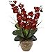 thumbnail image 3 of Nearly Natural 1514-AT Arrangement Saisonnier d'Orchidée Double Phalaenopsis, Automne, 3 of 3
