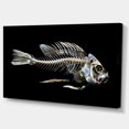 thumbnail image 2 of Os de Squelette de Poisson sur Fond Noir - Impression Artistique sur Toile d'Animal, 2 of 3