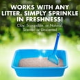 thumbnail image 2 of Arm & Hammer Cat Litter Deodorizer with Baking Soda, Moisture-Activated Scent, Works with Any Litter, 500g, 2 of 9