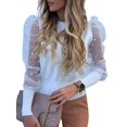 thumbnail image 1 of DYMADE Chandail pour Femmes à Col Rond en Maille à Pois Transparent à Manches Bouffantes Haut Chandail Blouse Jumper, 1 of 1
