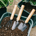 thumbnail image 4 of 9 Mini Garden Tool Hand Planting Tools Small Shovel Rake Spade Wood Handle Planting Tools, 4 of 7