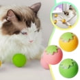 thumbnail image 2 of Automatic Rolling Cat Toy for Indoor Interactive Self Moving Teaser Wand with Feathers for and Cats, 2 of 4