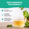 thumbnail image 3 of HANDPICK Peppermint Tea Sachets, 100 Unités / Tisane Sans Caféine, 3 of 8