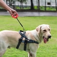 thumbnail image 4 of Laisse pour Chien avec Distributeur de Sacs à Déchets Rétractable Réfléchissante pour Marche Extérieure Visibilité Nocturne Matériau ABS Durable Laisse, 4 of 4