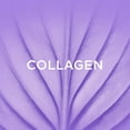 thumbnail image 4 of L'Oreal Paris Hair Expertise Volume Collagen Shampoo, 4 of 6