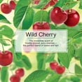 thumbnail image 3 of LITTLE TREES air freshener Wild Cherry 3-Pack, 3 of 8