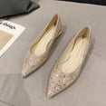 thumbnail image 4 of 2 Pcs Chaussures en Cuir pour Femmes Résistantes à l'Usure Femmes Mariage Largeur Plate Robe Chaussures en Fibre à Paillettes Femmes Confortables Entretien Cour Femmes Argent 39, 4 of 9