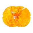 thumbnail image 1 of Cheerleading Handheld Colorful Flowers Sports Activities Performance Cheering Supplies Round Colorful Practical Material Lightweight Handle Design Off, 1 of 4