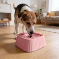 thumbnail image 5 of TIELUTT Floating Water Bowl Portable Drinking Tray for Not Easy To Spill, 5 of 5