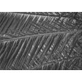 thumbnail image 1 of Ahgly Company Machine Washable Indoor Rectangle Transitional Charcoal Black Area Rugs, 2' x 3', 1 of 7