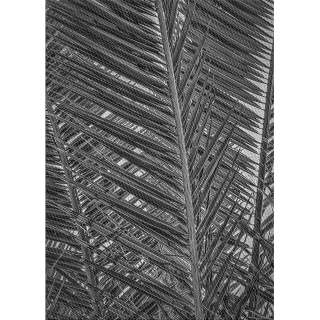 Ahgly Company Machine Washable Indoor Rectangle Transitional Charcoal Black Area Rugs, 2' x 3'