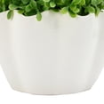 thumbnail image 4 of Anko Artificial Topiary in Wave Pot, 4 of 5