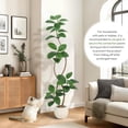 thumbnail image 1 of 5.9ft Artificial Rubber Tree with Off White Sphere Resin Planter & Stone,Indoor Artificial Tree Tall Plant Fake Tree,Faux Fiddle Leaf Fig Tree for Home Decor, 1 of 7