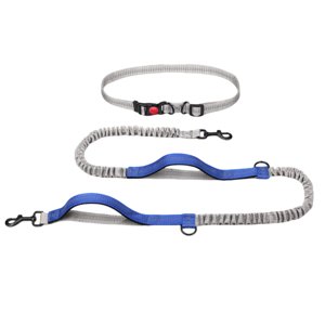 Hearth & Gear Animaux de compagnie En laisse Extérieure En laisse Réflectif Double Extendable Chien En laisse Chaîne Chien De laisse Animaux de ménage Deux poignées Chien de laisse Petit Chien Poignée Chien Retractable Chief Retractible Chien