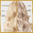 thumbnail image 3 of L'Oréal Paris Le Color Gloss, One Step Hair Gloss, 3 of 7