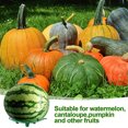 thumbnail image 4 of Melon  Stand, Round 10Pcs Reusable Decomposition Prevention Pumpkin Support   For Farm, 4 of 8