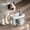A, variante sur Liquidation! Fontaine d'Eau Intelligente pour Animaux, Fontaine d'Eau pour Chat Fontaine pour Chat pour Boire - Fontaine d'Eau pour Animaux pour Chats à l'Intérieur - Bol Distributeur d'Eau Automatique pour Chat - Fournitures d'Alimentation et d'Arrosage pour Chat