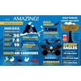 thumbnail image 5 of Madd Capp: I AM Eagle - 300 piece shaped jigsaw puzzle, 5 of 5