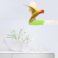 thumbnail image 2 of Bird Parrot Stand Perch Standing Pole Bird Perch Bird Toys for Parrots Bird Cage Accessories, 2 of 8