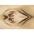 thumbnail image 1 of Ahgly Company Machine Washable Indoor Rectangle Transitional Cinnamon Brown Area Rugs, 2' x 3', 1 of 7