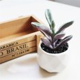 thumbnail image 3 of Coofit 4PCS Potted Plant Decorative Fake Plant Artificial Plant for Balcony Home Garden, 3 of 9