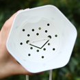 thumbnail image 2 of Transparent Self-Watering Plant Flower Plastic Pot Planter Home Garden Decor, 2 of 10