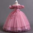 thumbnail image 2 of Ashirexll Robe de Performance Sans Manches pour Filles Jupe Tutu en Maille Col Rond Robe Trapèze Formelle pour Hôte Fête Tenue de Danse Âge 3-14 Ans Rose 3 Ans, 2 of 3