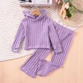 thumbnail image 2 of ZACPNCV Toddler Girl Fall Clothes Set Long Sleeve Ribbed Knit Tops Pants Set Solid Color 2-Piece Outfit for Kids Purple 4-5 Years, 2 of 7