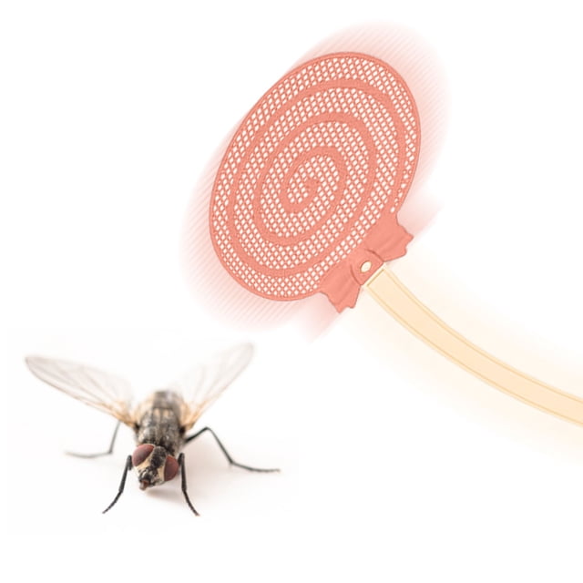 LSLJS Candy Shaped Fly Swatter Fly Swatter Fly Swatter for Indoors FlySwatter Fly Swatters Green 2/4/10 PCS, The Swatter