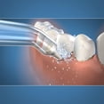 thumbnail image 2 of Waterpik® Pik Pocket™ Embout, 2 of 3