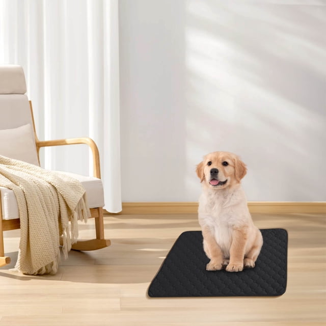2 Pcs Thickened Pet Urine Pad for Deodorization Waterproof and Instant Water Absorption Washable Easy To Dry Reusable Pet Training Pee Pad for Floor, Sofa, Whelping, Training, Playpen Crate Clearance