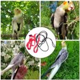 thumbnail image 1 of Outdoor Pet Flying Leash Camping Hiking Adjustable Elastic Portable Adjustable Small Animal Chest Harness Training Rope Pets Supplies S, 1 of 9