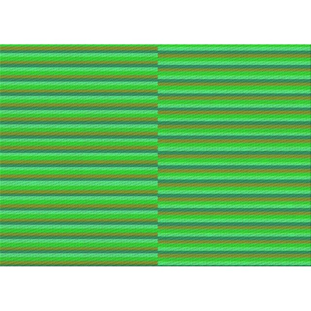Ahgly Tapis Rectangulaire Lavable en Machine Intérieur Transitionnel Vert Lime Foncé, 5 Pieds x 7 Pieds