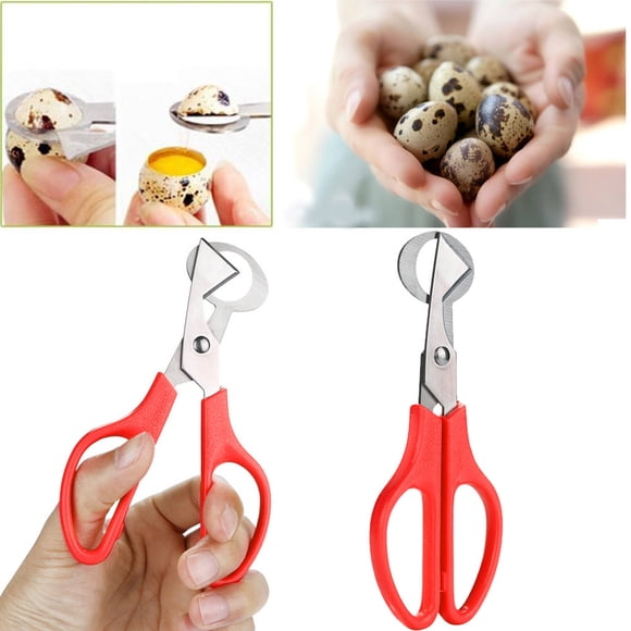 Dvkptbk Séparateur Blanc Ciseaux à Caille Ouvreur Coupeur Outil en Acier Inoxydable