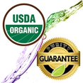 thumbnail image 2 of Healing Solutions Organic 10ml Oils - Spruce Essential Oil - 0.33 Fluid Ounces, 2 of 6