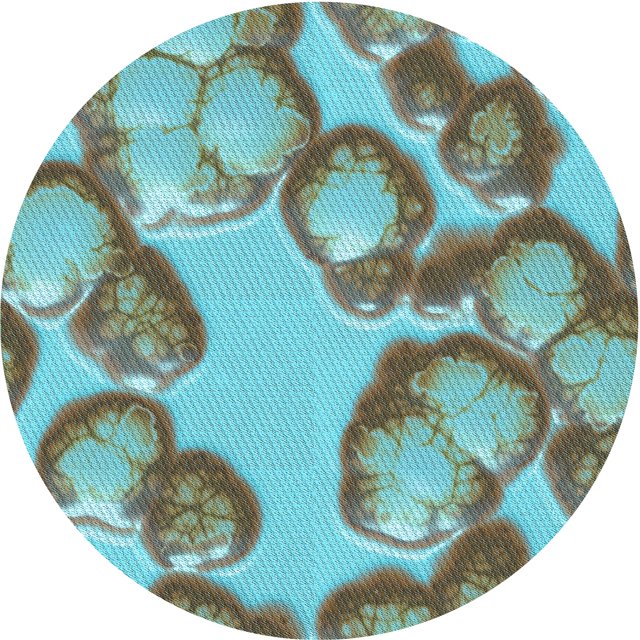 Ahgly Company Tapis d'Intérieur Ronds de Style Transitionnel Lavables à la Machine, Vert Noisette, 6 Pieds Rond